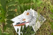 Rooted: Reconnect and Create Naturally